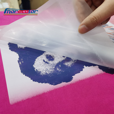 Película de extrusión múltiple DTF PET 33cm 60cm para impresora Epson I4720 I3200 DTF